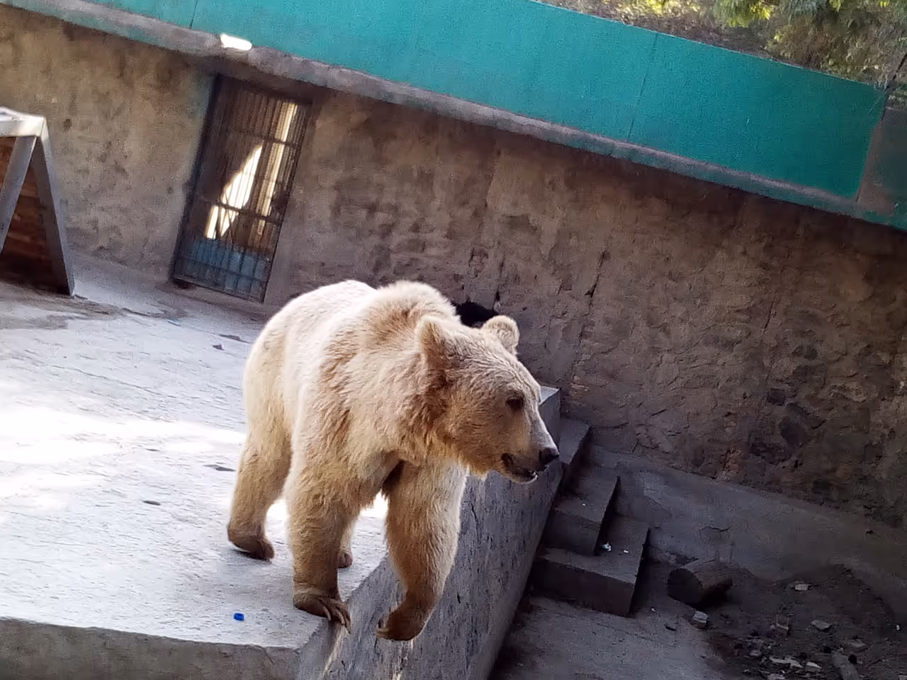 Zoo in Kabul