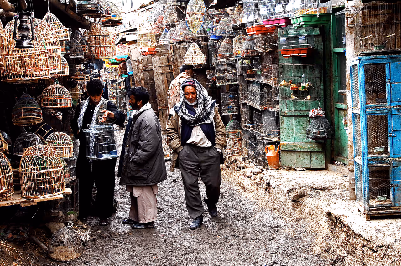 Ka foroshi bird market market in Kabul