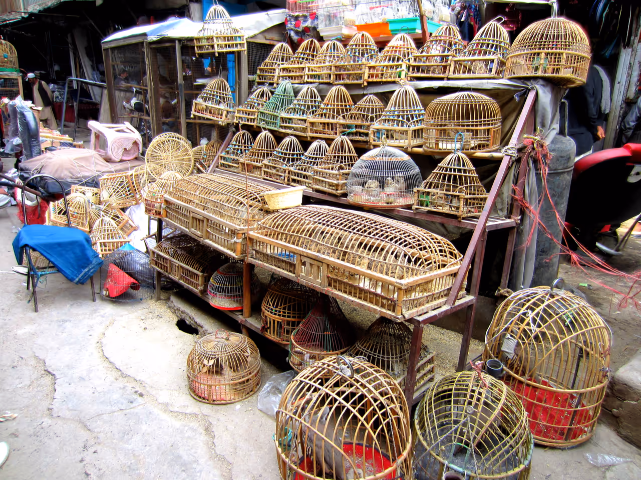 Ka foroshi bird market market in Kabul
