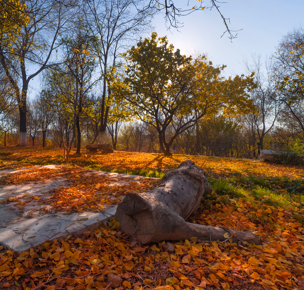 Autumn in the valleys highlight in Kabul