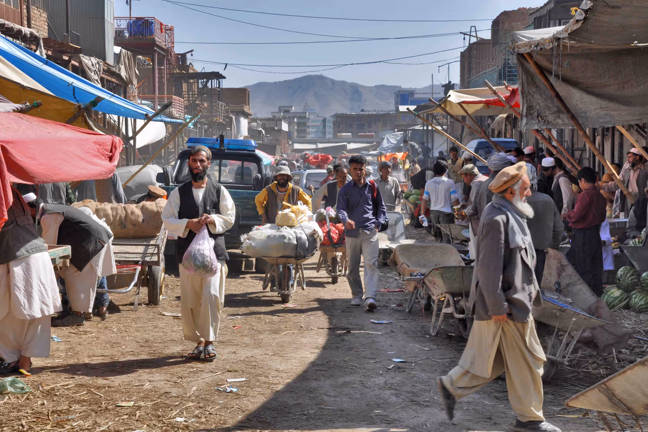 Spring blossoms and nowruz highlight in Kabul
