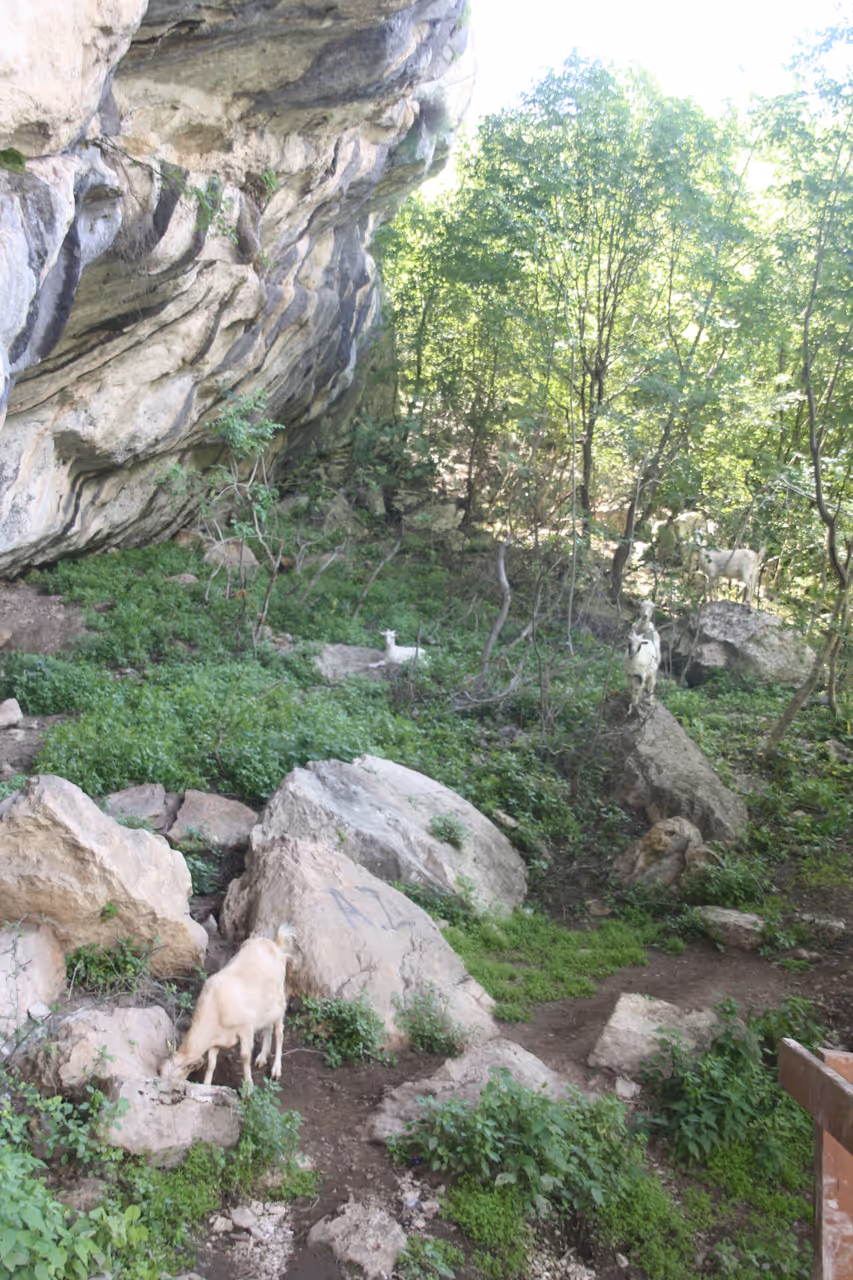 Pëllumbas cave in Tirana
