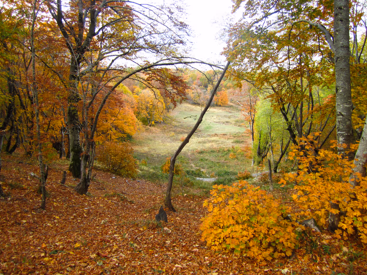 Dajti mountain national park in Tirana