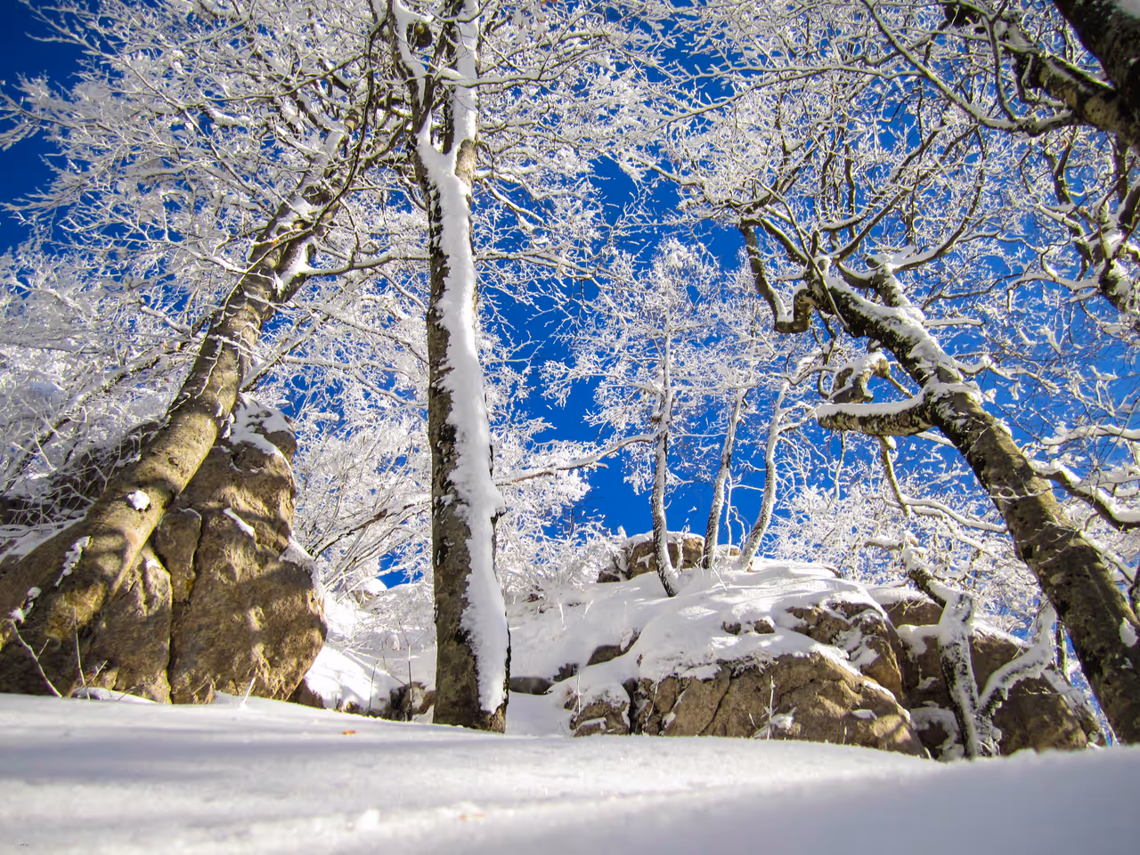 Winter highlight in Tirana