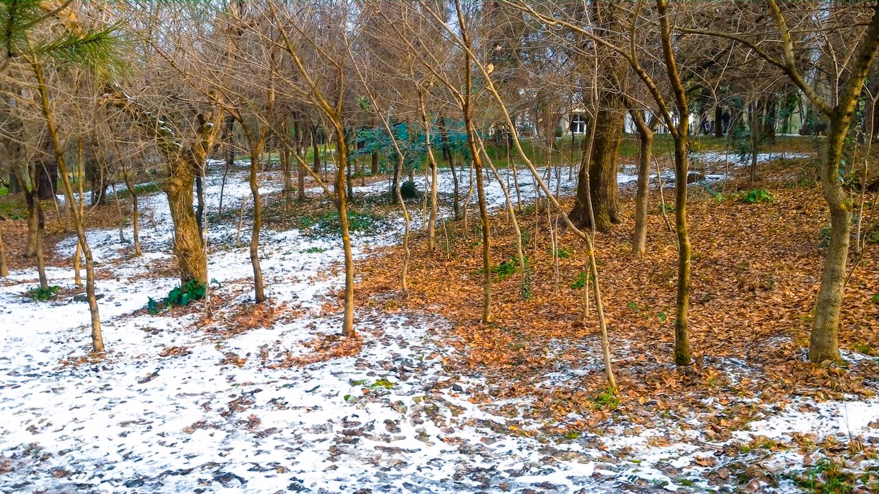 Winter highlight in Tirana