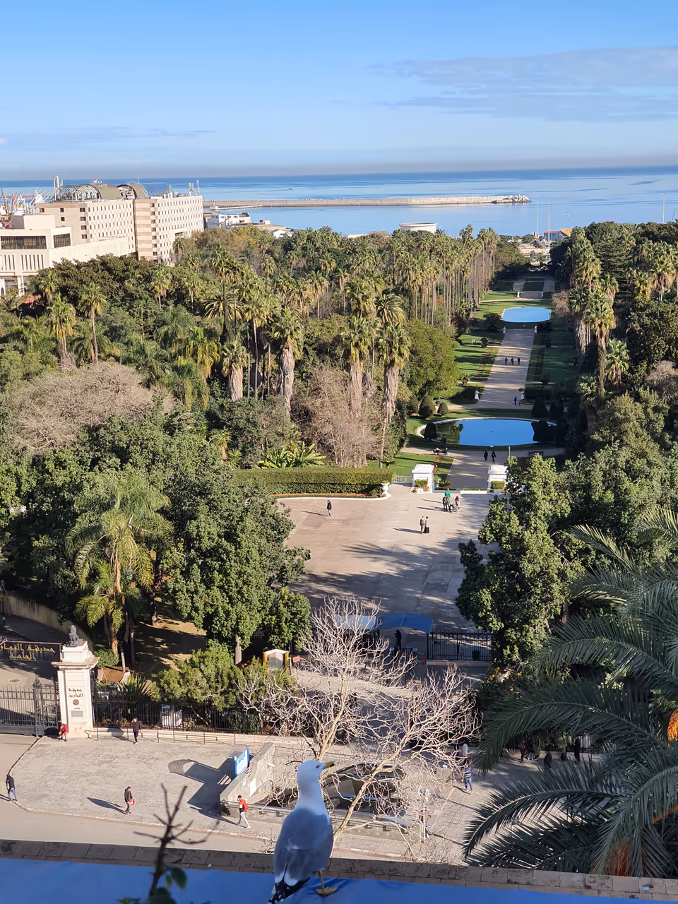 National museum of fine arts in Algiers