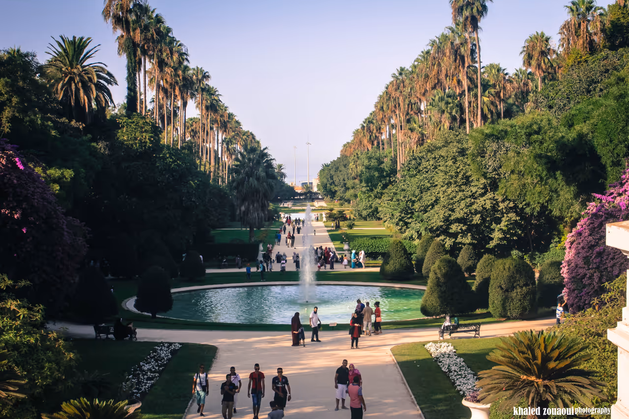 Explore the jardin d'essai du hamma in Algiers