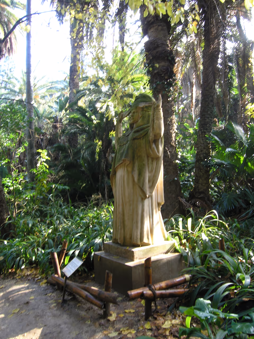 Explore the jardin d'essai du hamma in Algiers