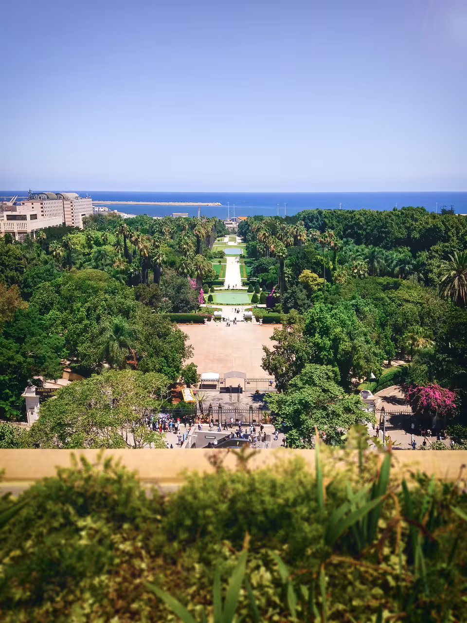 Explore the jardin d'essai du hamma in Algiers