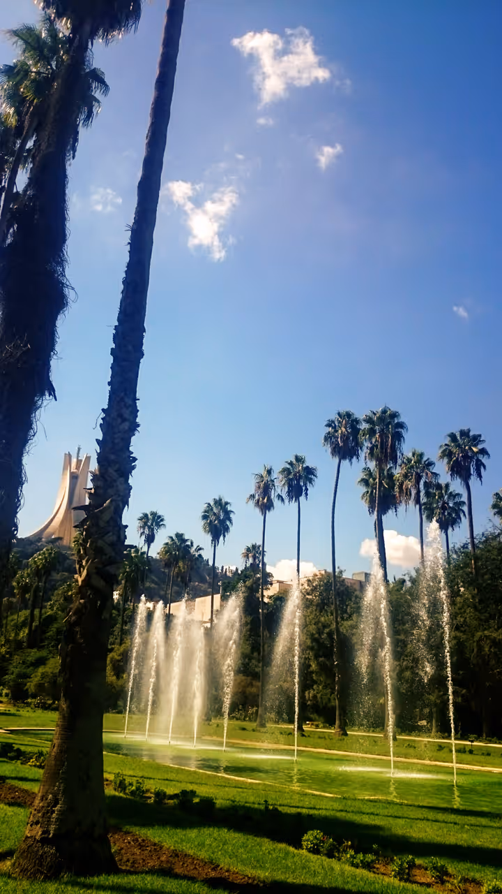 Spring highlight in Algiers