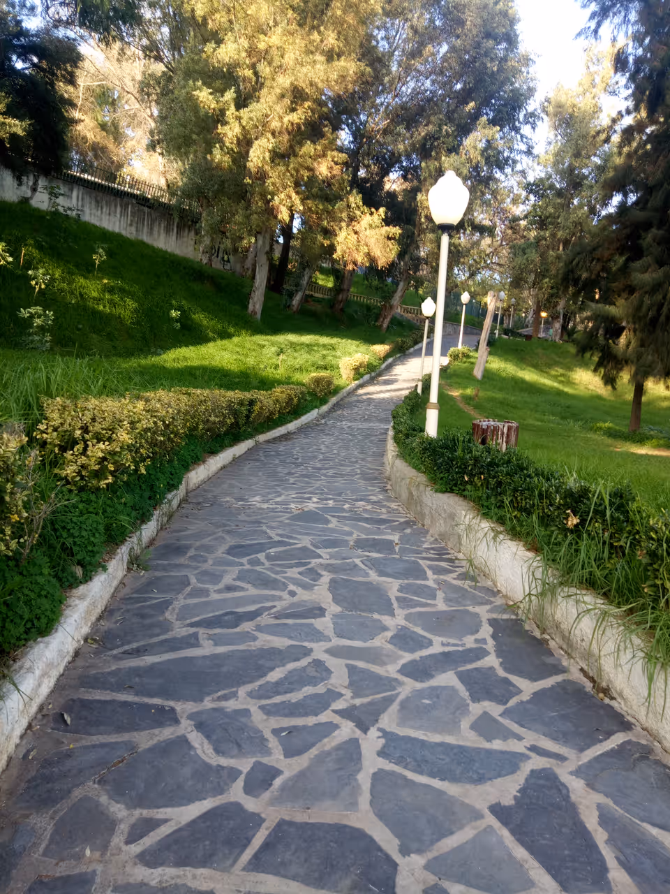 Spring highlight in Algiers
