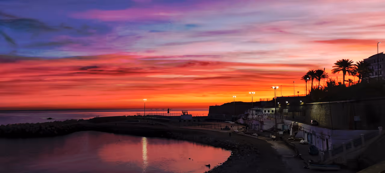 Winter highlight in Algiers