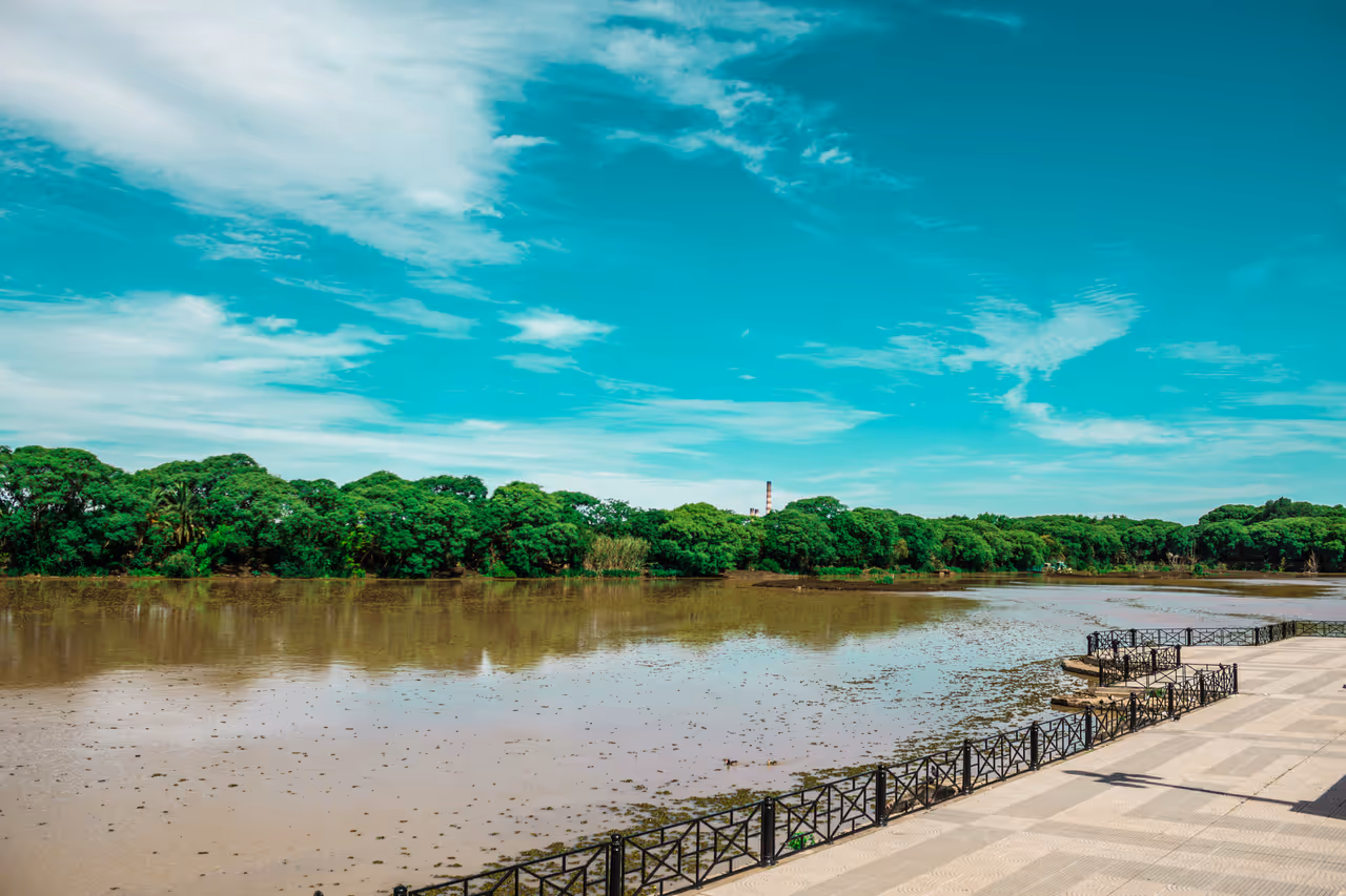 Ecological reserve waterfront loop cycling in Buenos aires