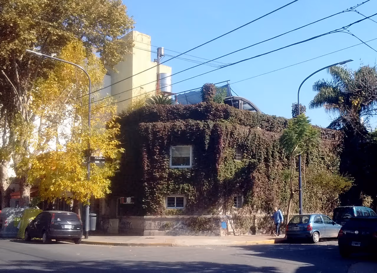 Discover street art in Buenos aires