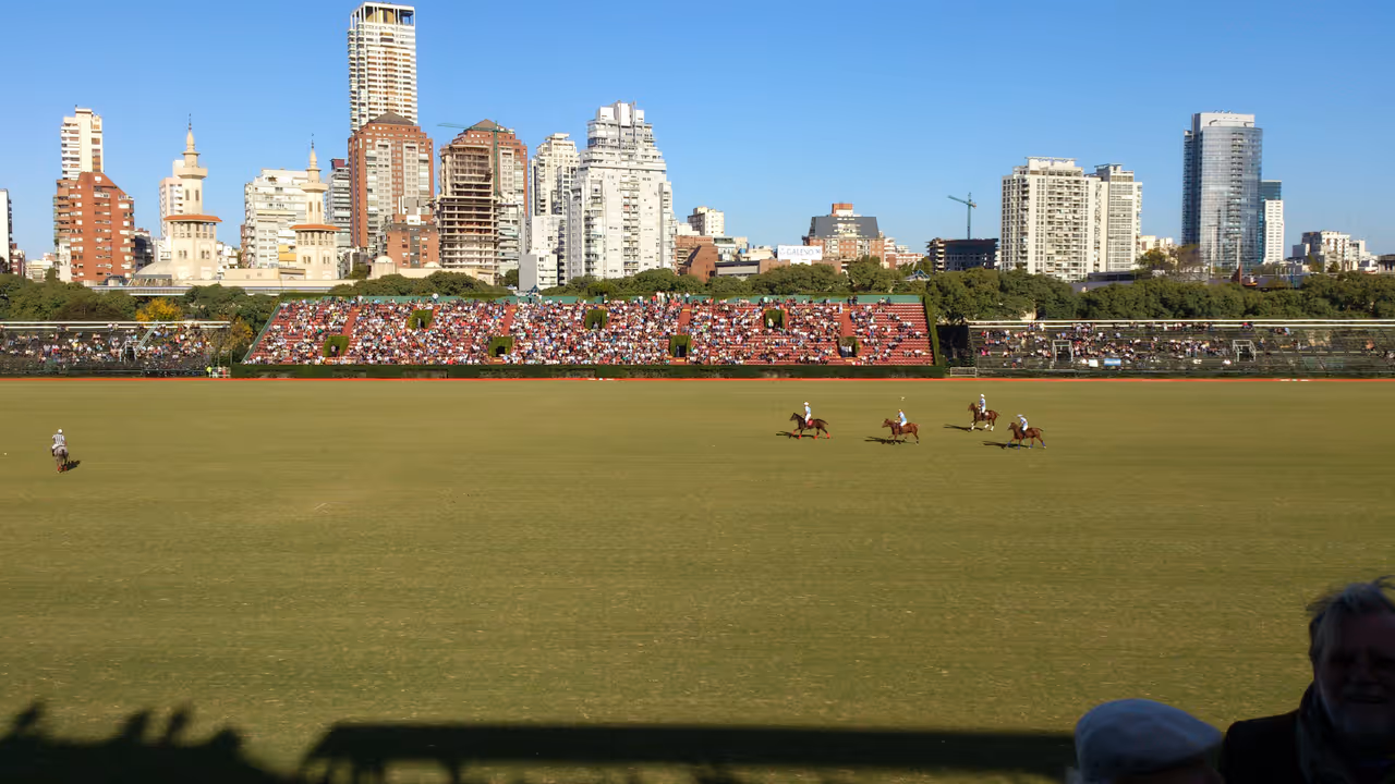 Learn to play polo in Buenos aires