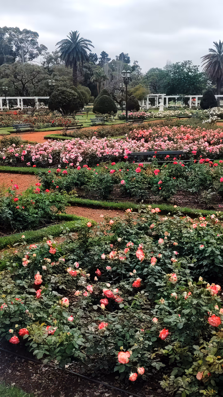 Bosques de palermo in Buenos aires