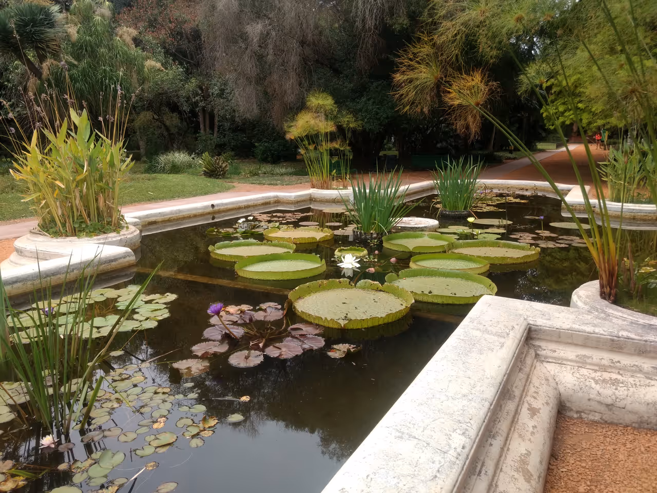 Botanical garden in Buenos aires