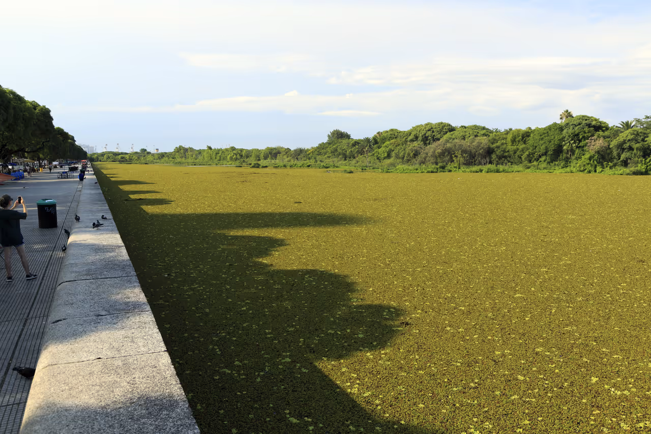 Ecological reserve in Buenos aires