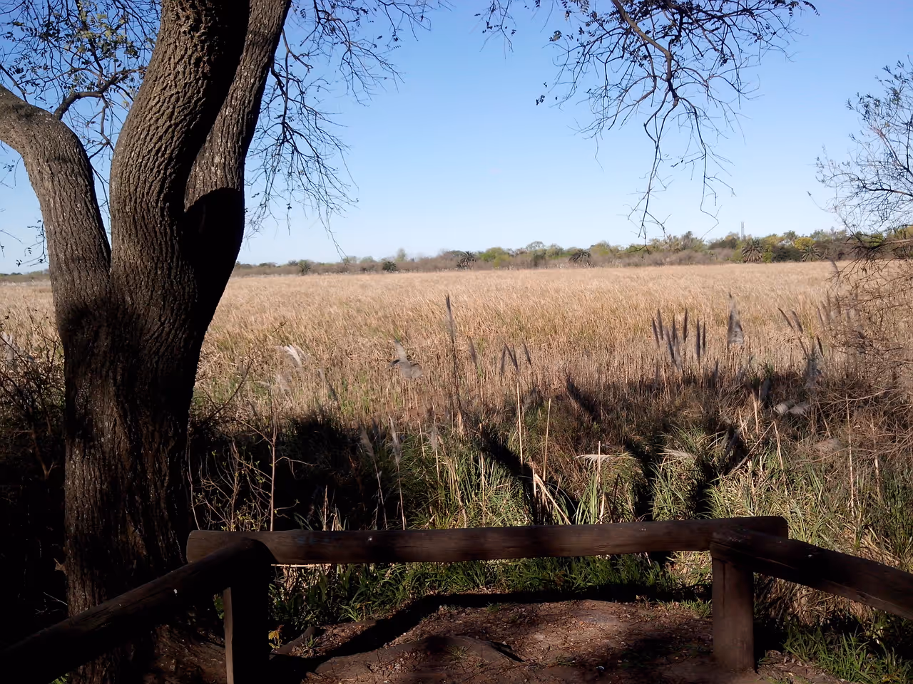 Ecological reserve in Buenos aires