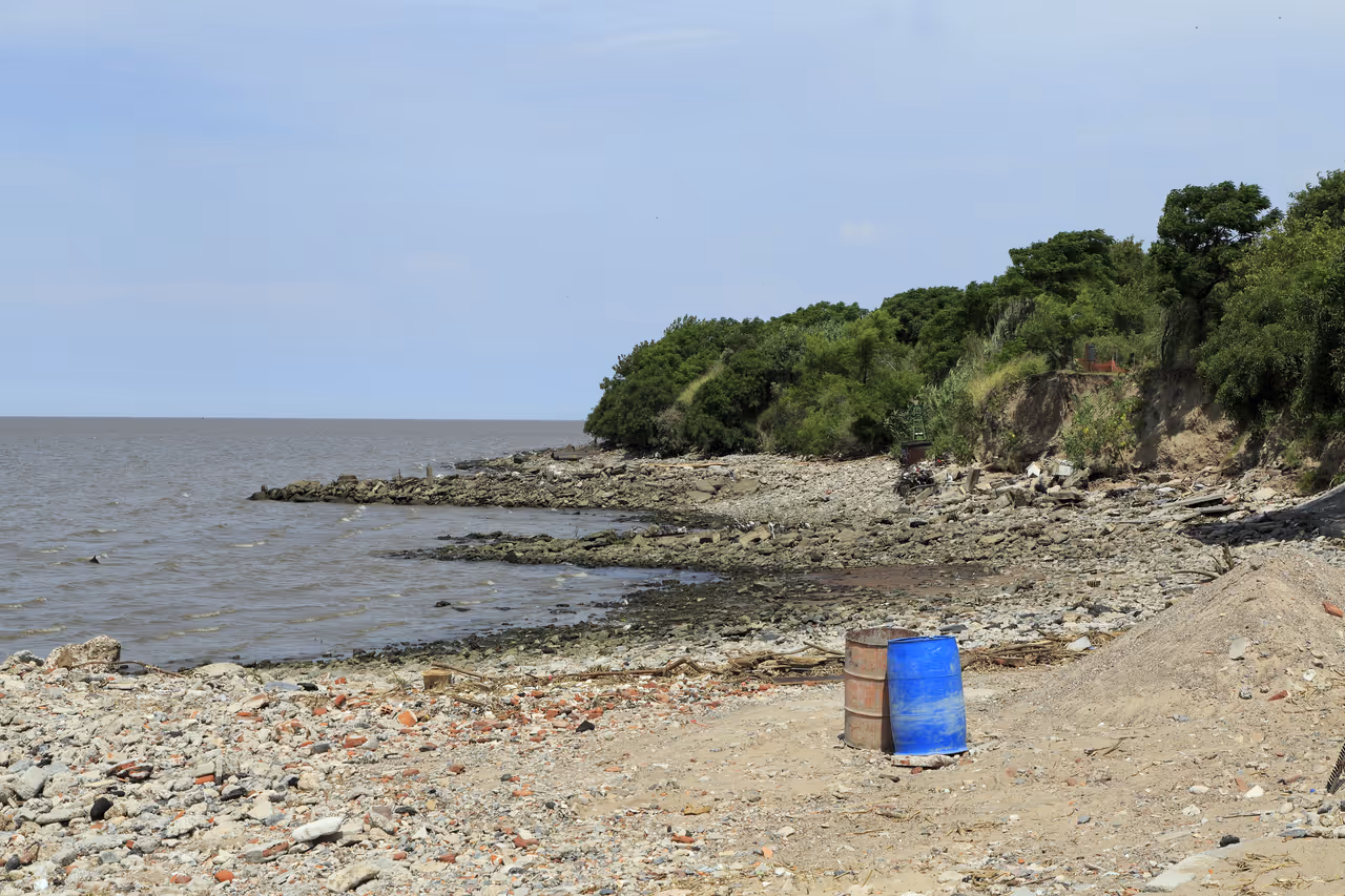 Ecological reserve in Buenos aires