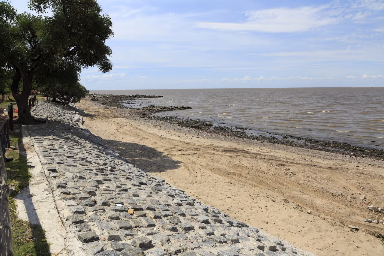 Ecological reserve in Buenos aires