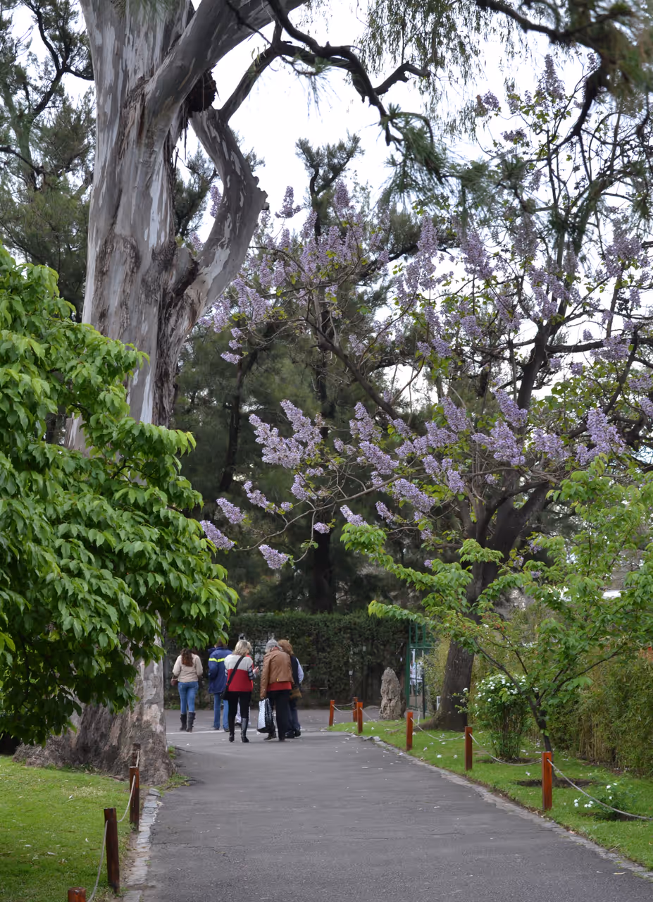 Japanese gardens in Buenos aires