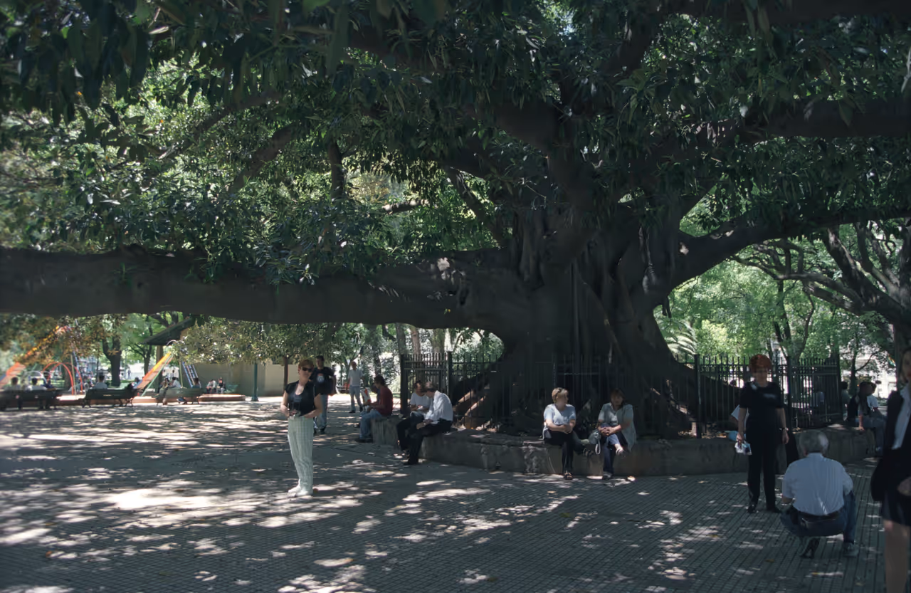Plaza san martín in Buenos aires