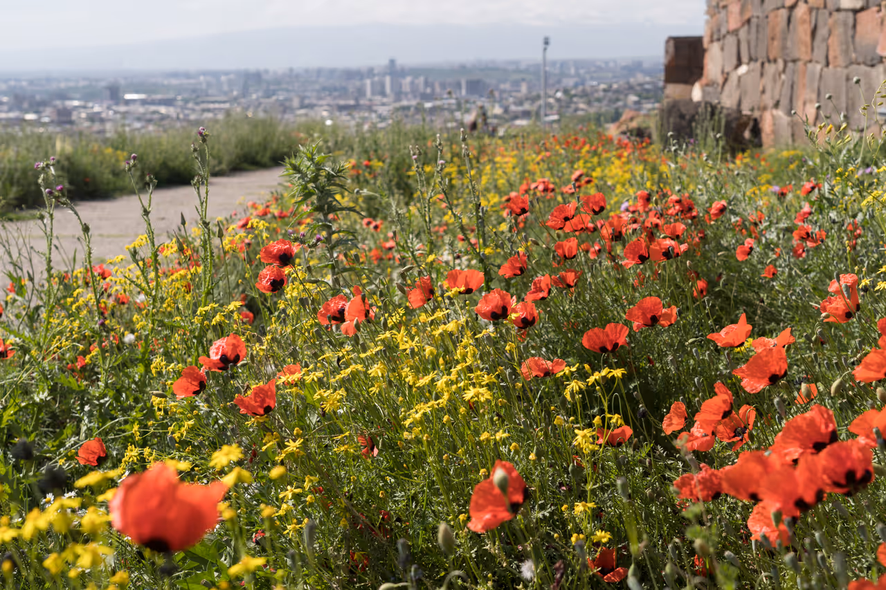 Explore the ancient citadel of erebuni in Yerevan
