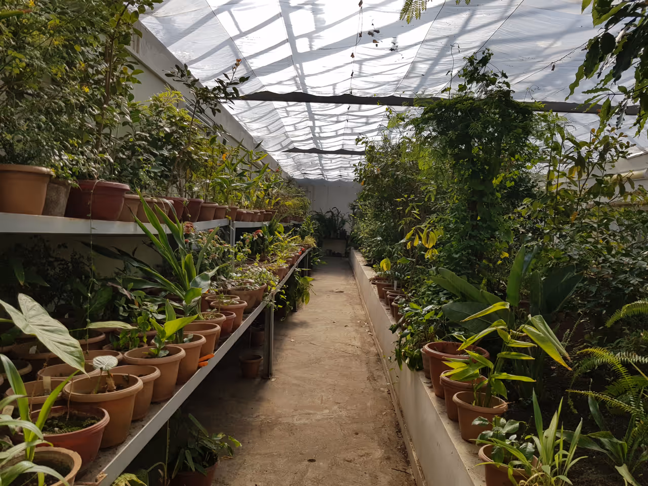 Botanical garden in Yerevan