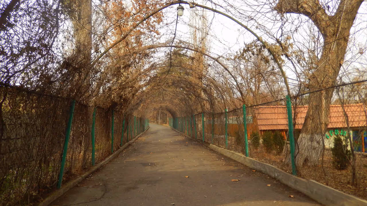 Botanical garden in Yerevan