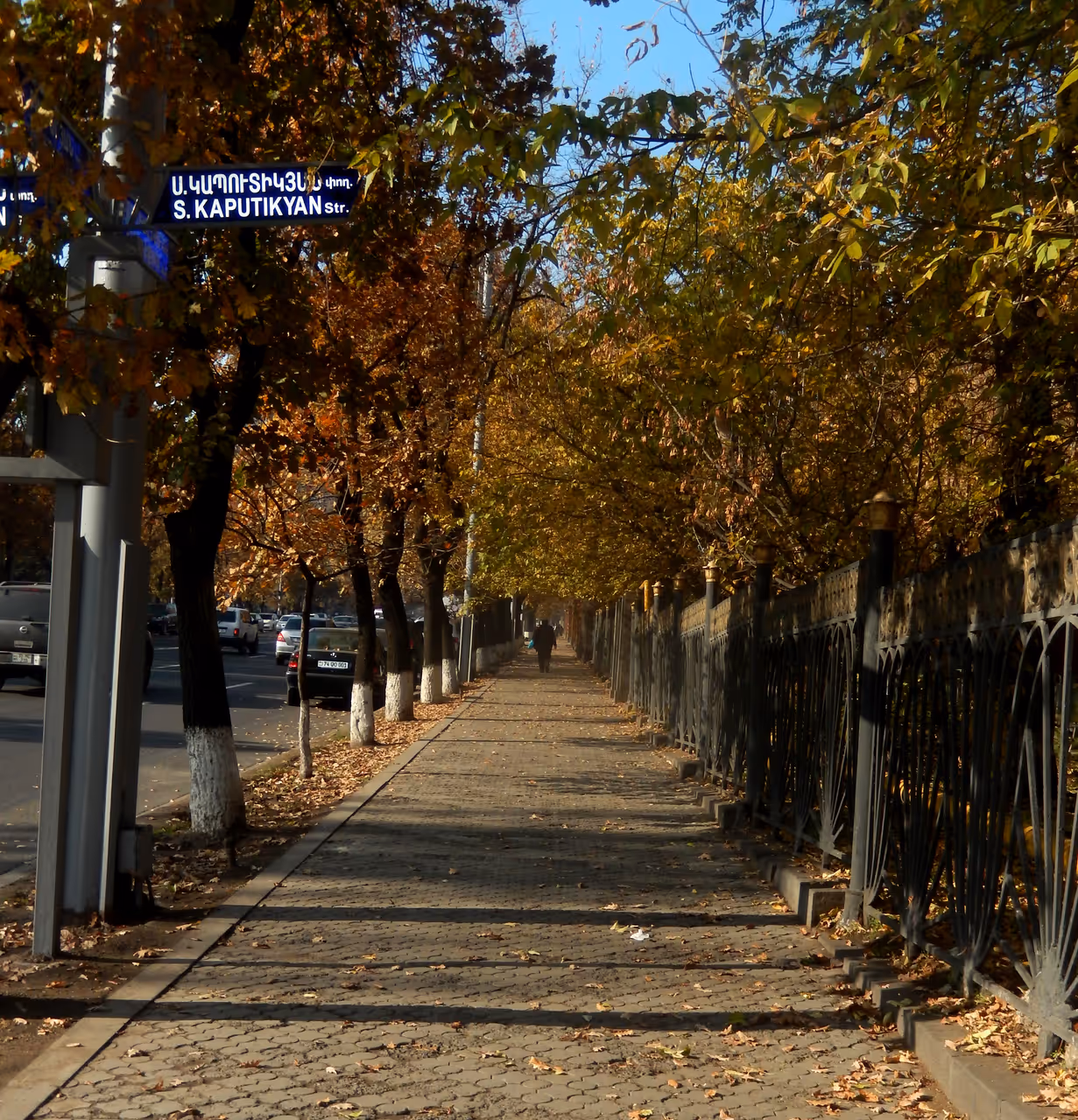 Autumn harvest and perfect weather highlight in Yerevan