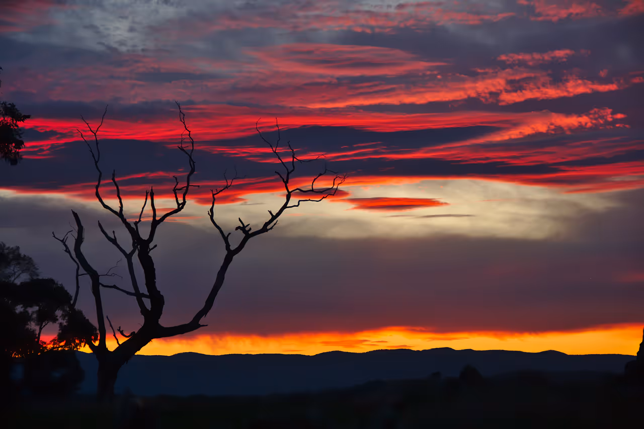Spring Sunset in Gubur Dhaura, Canberra