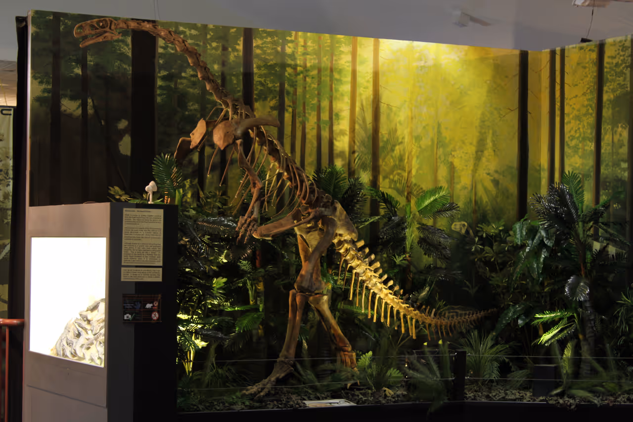 National dinosaur museum in Canberra