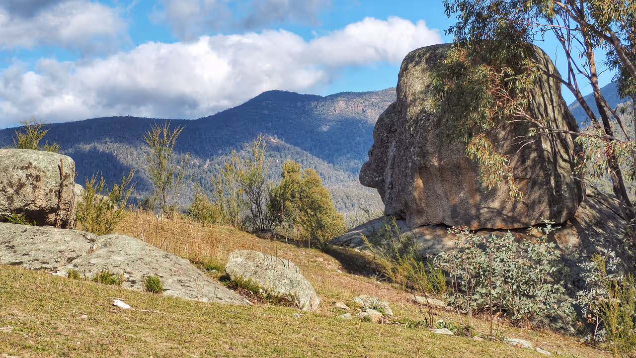 Discover tidbinbilla nature reserve in Canberra