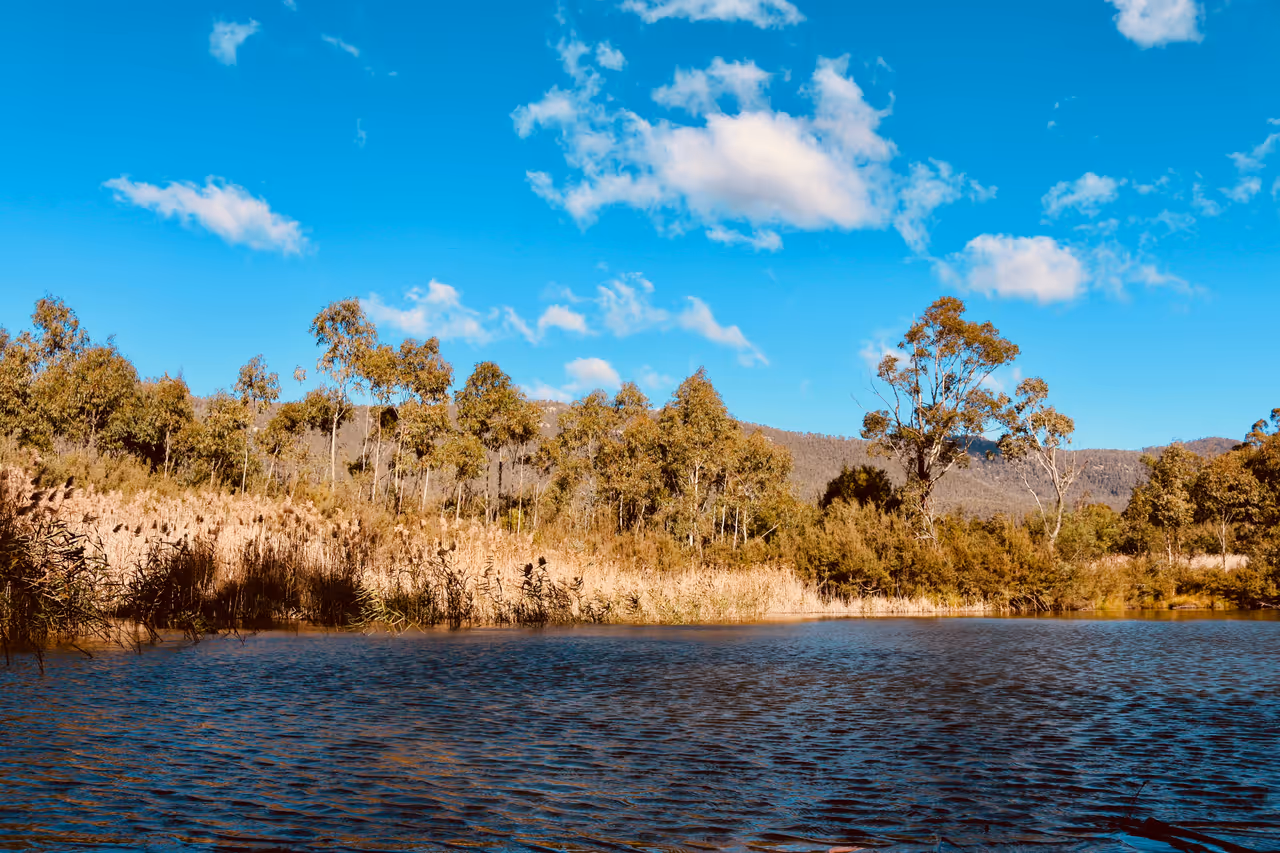 Discover tidbinbilla nature reserve in Canberra