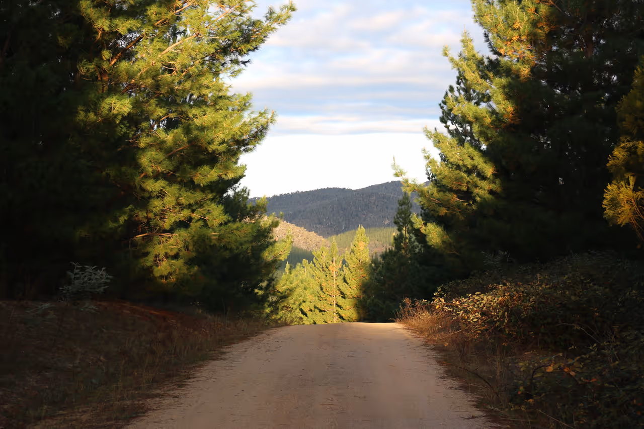 Discover tidbinbilla nature reserve in Canberra