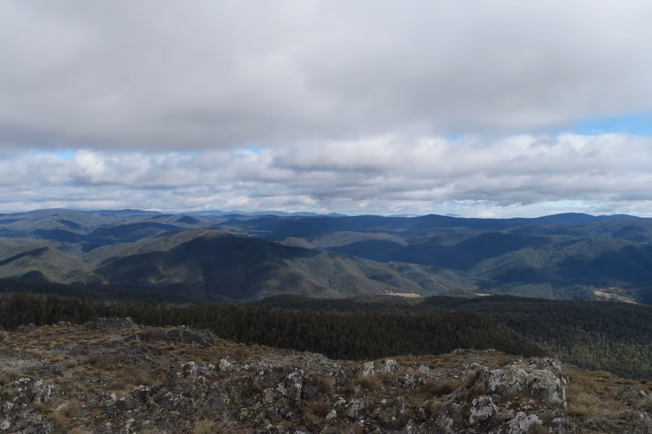 Wild wonders of namadgi national park in Canberra