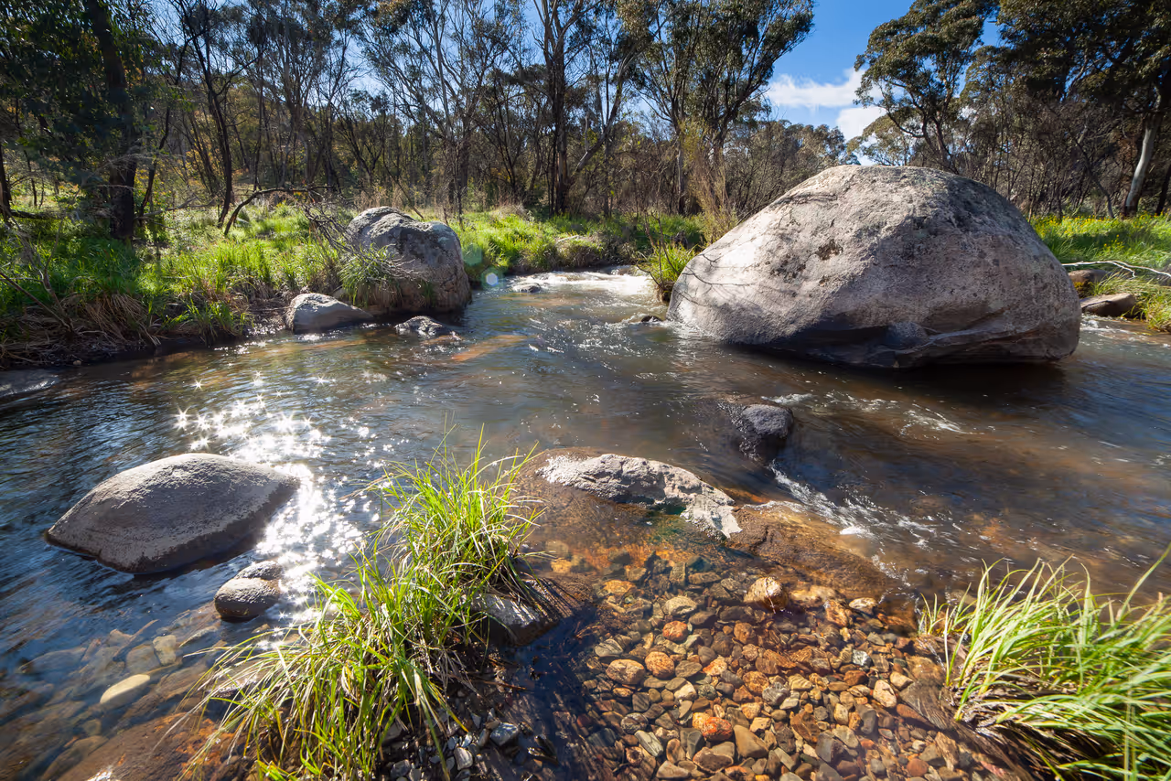 A bend in the Gudgenby River in the Namadgi National Park
