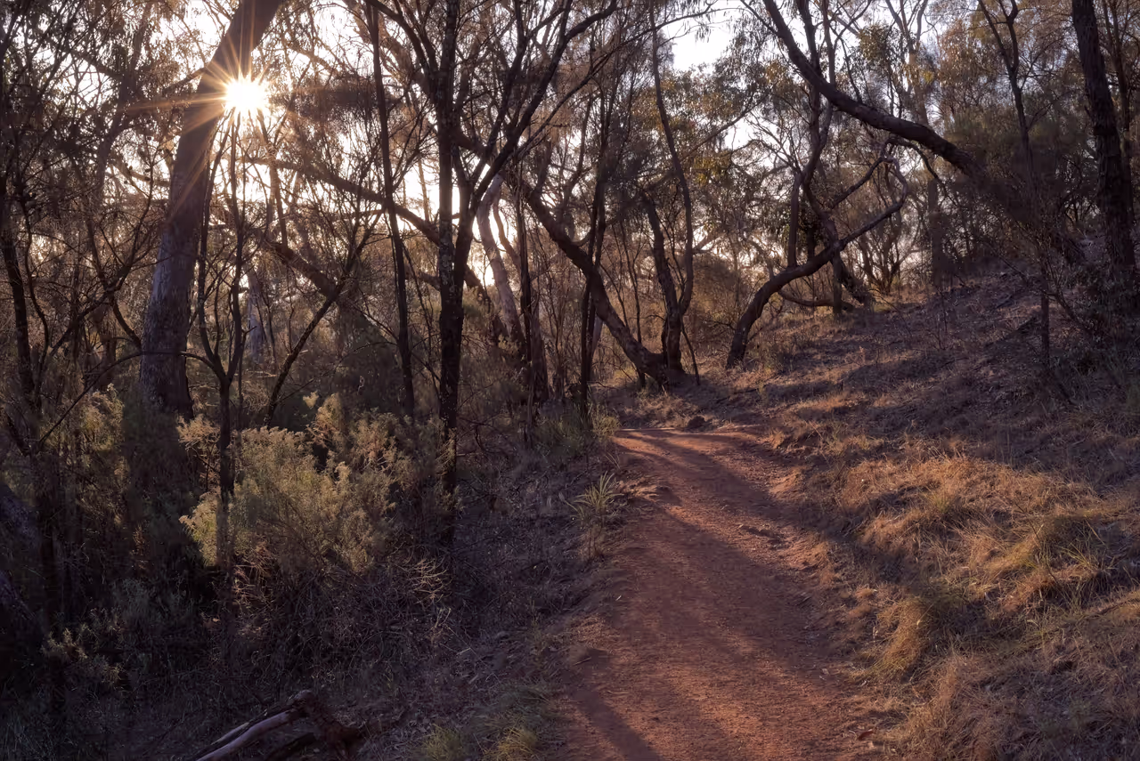 Mount majura in Canberra