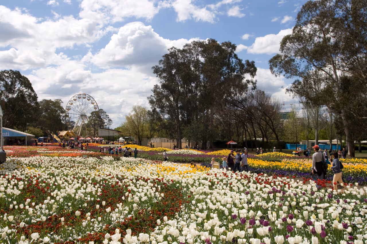 Commonwealth park walk stroll in Canberra