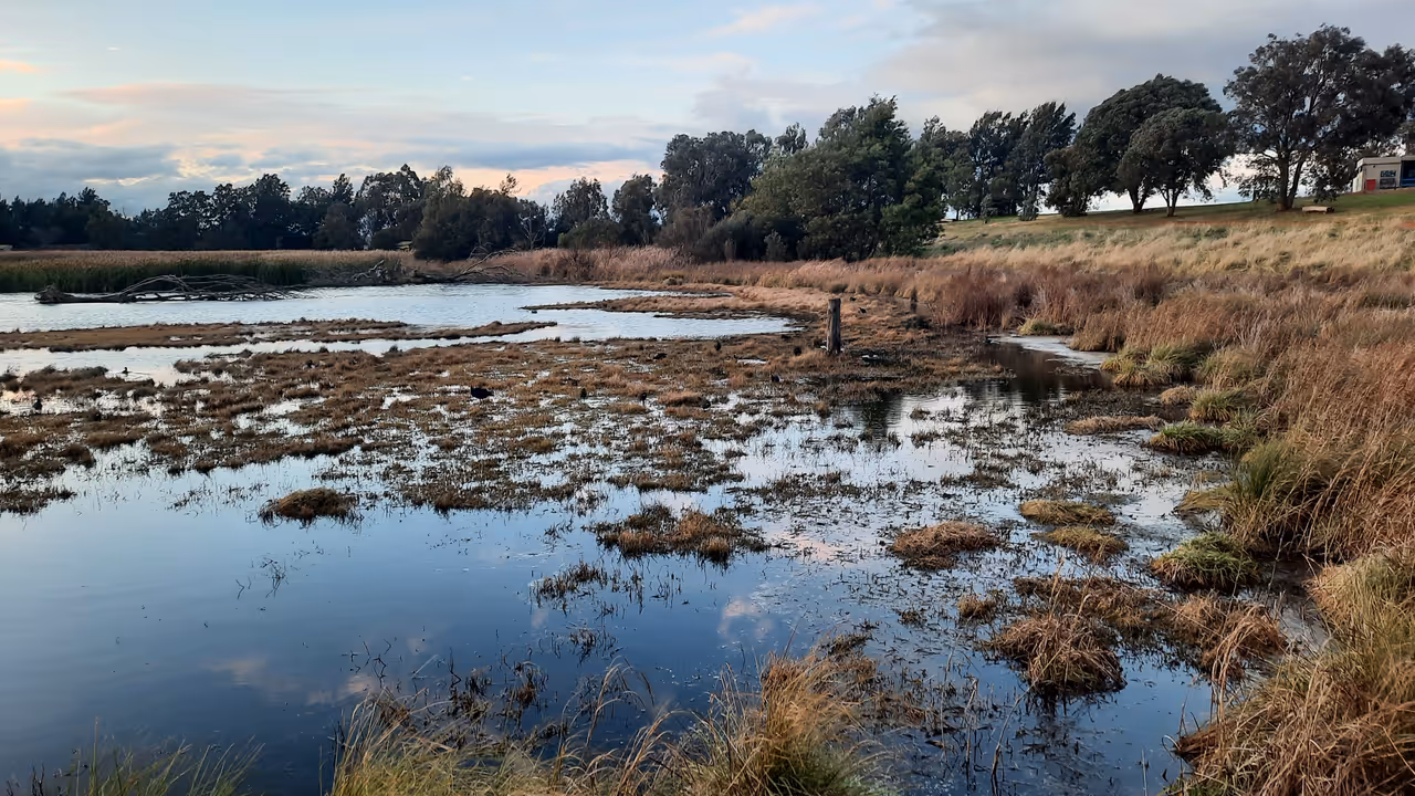 Kingston foreshore promenade stroll in Canberra