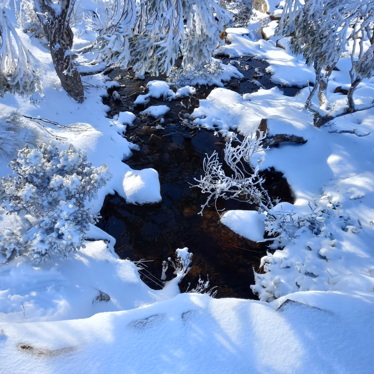 Kunanyi / mount wellington in Hobart