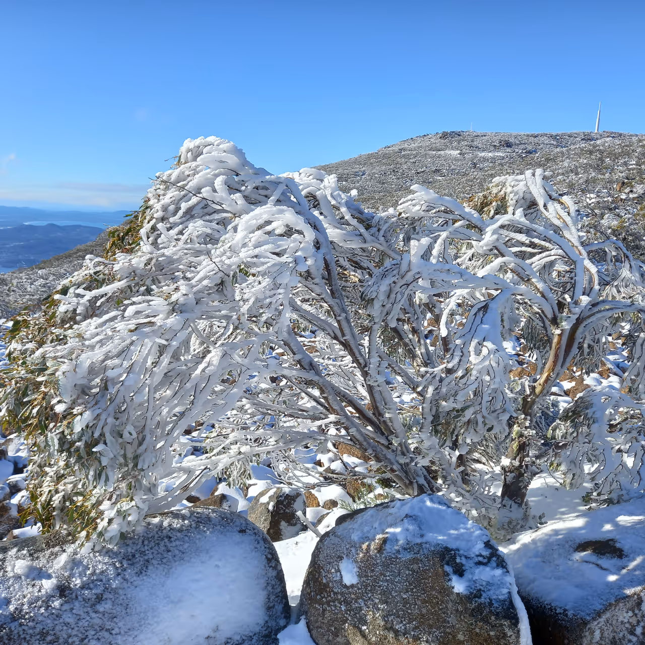 Kunanyi / mount wellington in Hobart