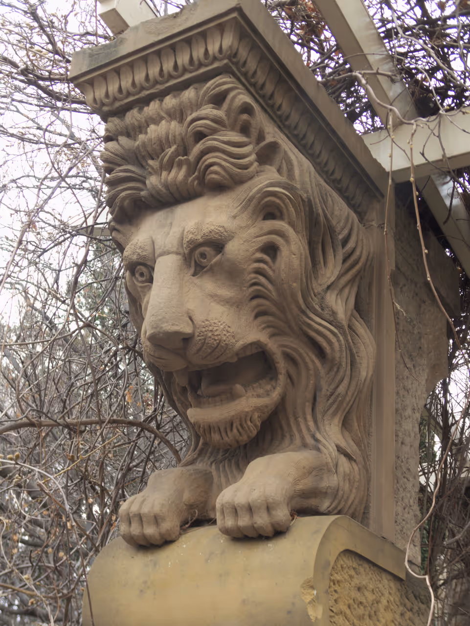 One of the lion gate posts at the entrance to St David's Park, Hobart, at the corner of Davey Street and Salamanca Place