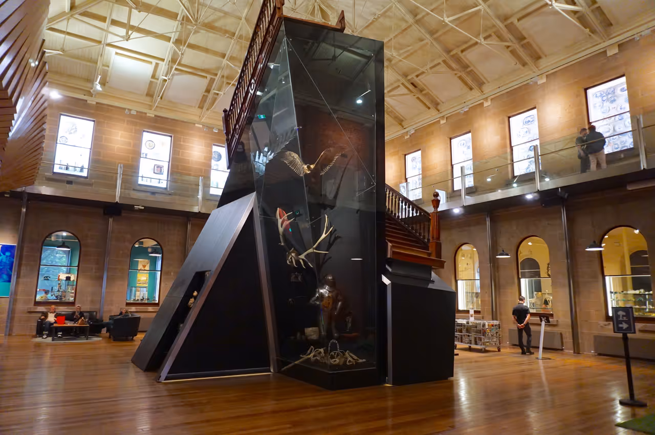 Tasmanian Museum and Art Gallery, Hobart