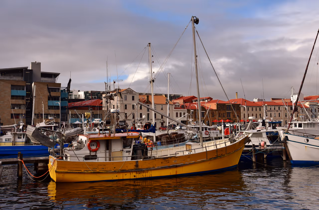 View of fishing boats at Victoria Dock, Hobart