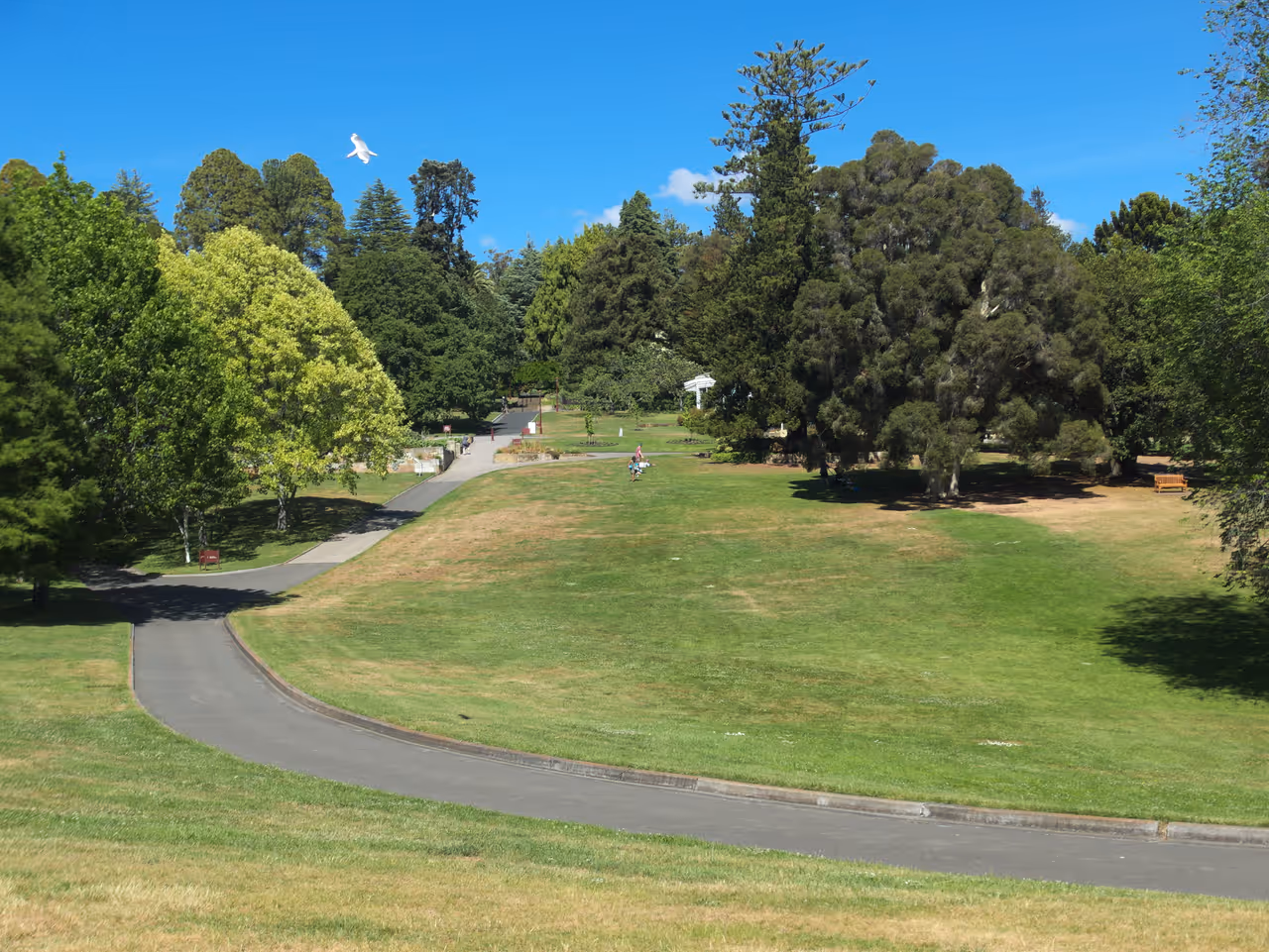 Royal tasmanian botanical gardens in Hobart