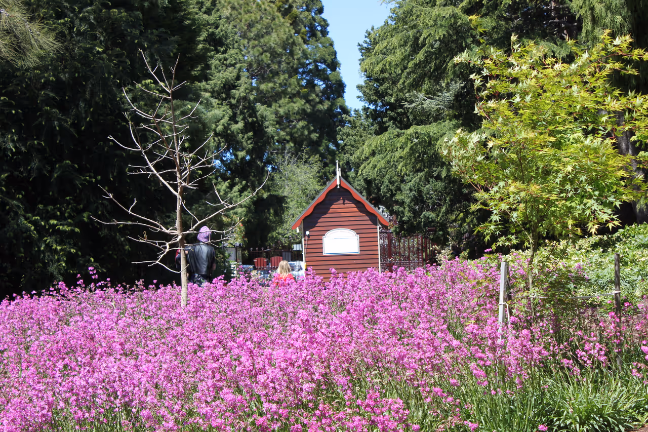 Royal tasmanian botanical gardens in Hobart