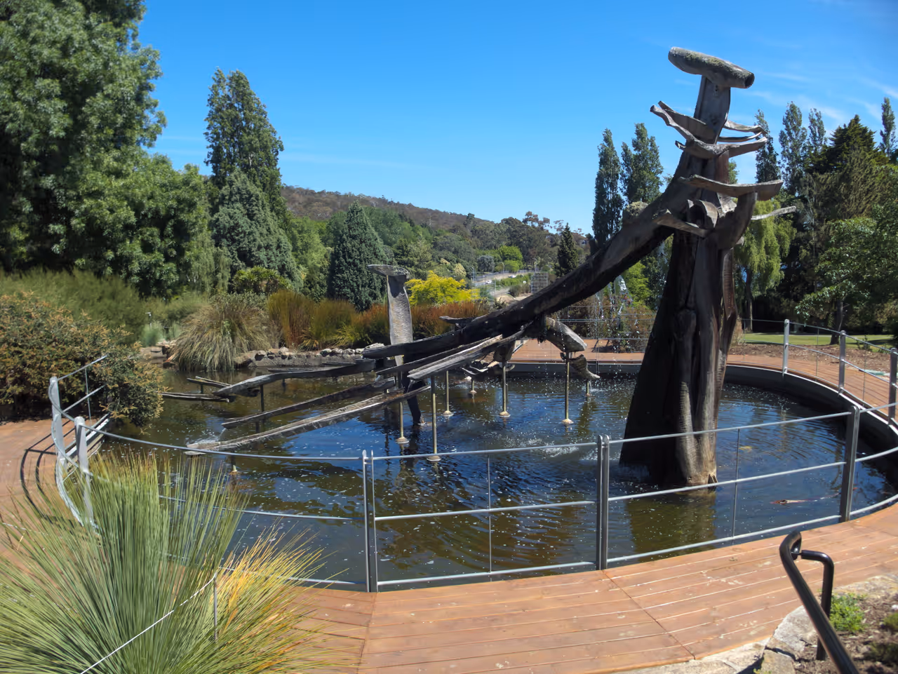 Royal tasmanian botanical gardens in Hobart