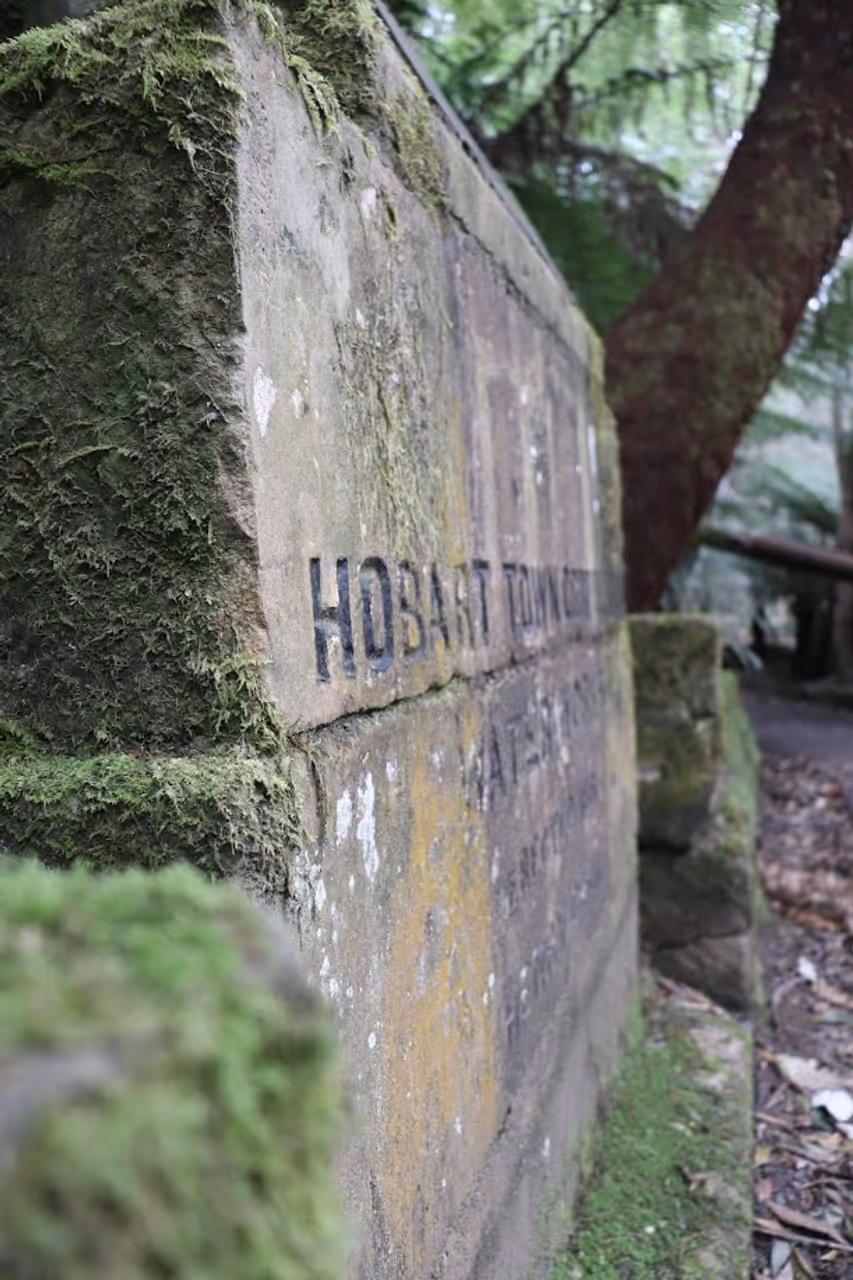 Wellington park in Hobart